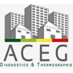ACEG Diagnostics immobilier Thermographies sur Saint-Étienne