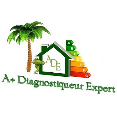 Logo A+ Diagnostiqueur Expert