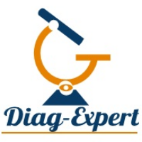 DIAG-EXPERT Thermographies sur Isle-d'Espagnac