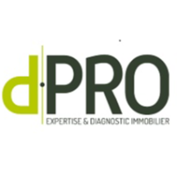 Logo D.PRO NIMES