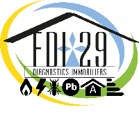 Logo FDI 29