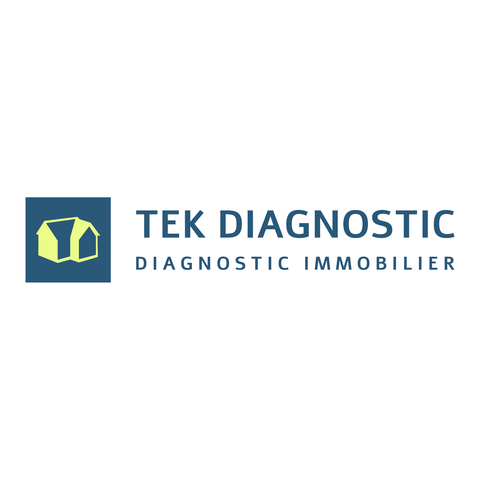 Logo Tek Diagnostic