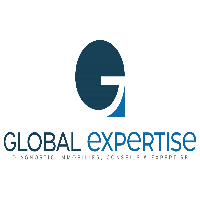 Logo Expert-Imm